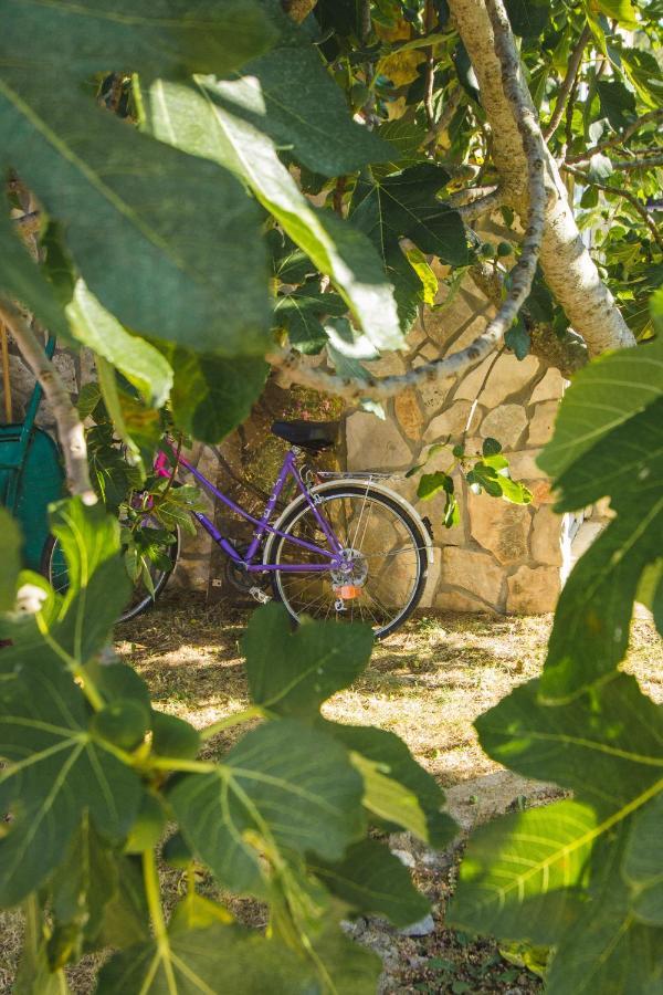 Apartmani Alic Šibenik Exterior foto